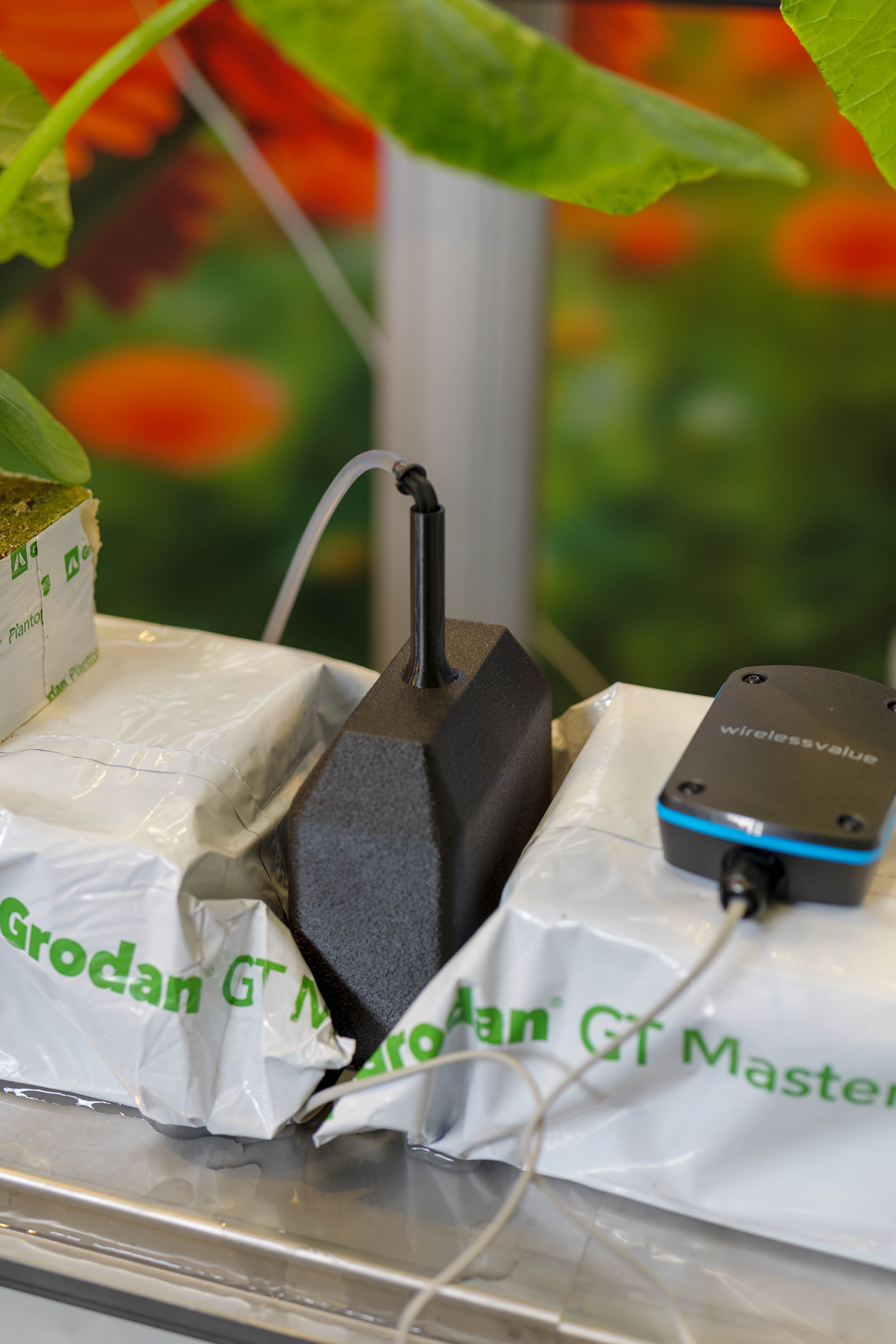 Draadloze druppelirrigatiemeter (DLXt-irrigation) - 20240611 p1002251 - DLXt-irrigation-ewinb