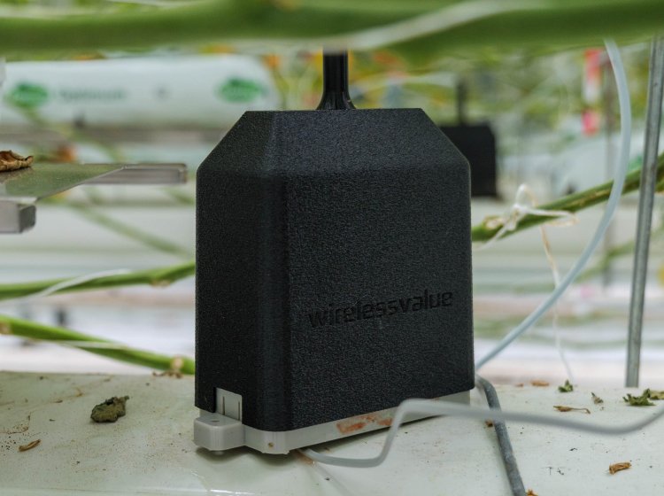Draadloze weegschaal incl drain, irrigatie en EC/pH sensor (WM360-WQ) - 20250506 p1051024 - WM360-WQ-e
